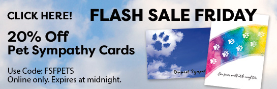 Promotional Offer